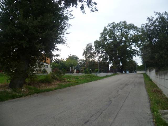 Terreno a Mozzagrogna in Contrada Cupa Re di Coppe - Foto 4