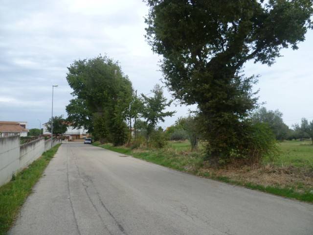 Terreno a Mozzagrogna in Contrada Cupa Re di Coppe - Foto 5