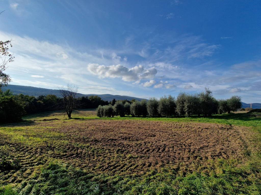 Rustico / casale a Amelia in Strada di Macchie - Foto 2