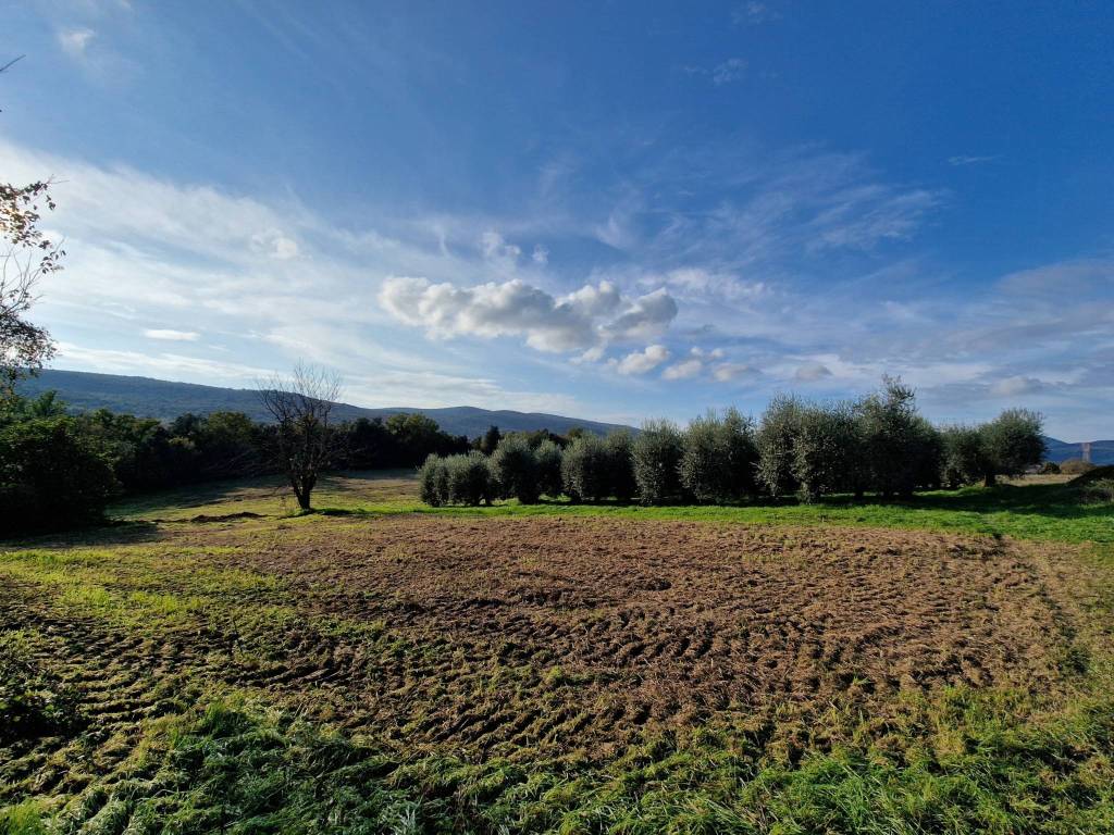 Rustico / casale a Amelia in Strada di Macchie - Foto 3
