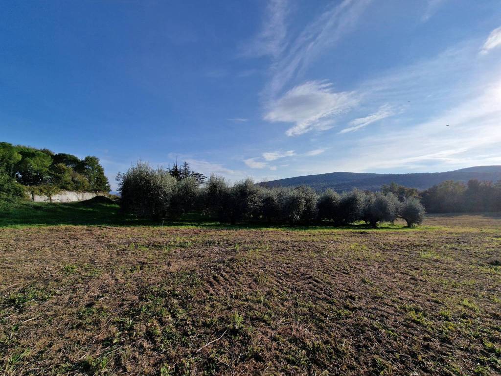 Rustico / casale a Amelia in Strada di Macchie - Foto 4