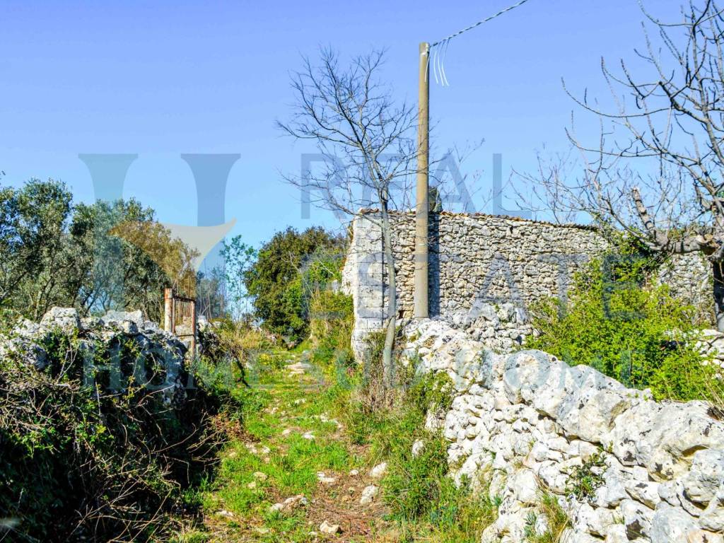 Rustico / casale a Noto - Foto 4