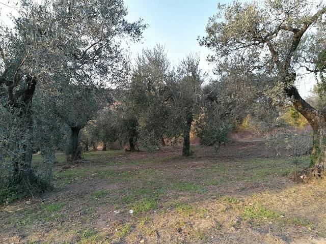 Terreno a Fara in sabina in Via Colle della Noce - Foto 2