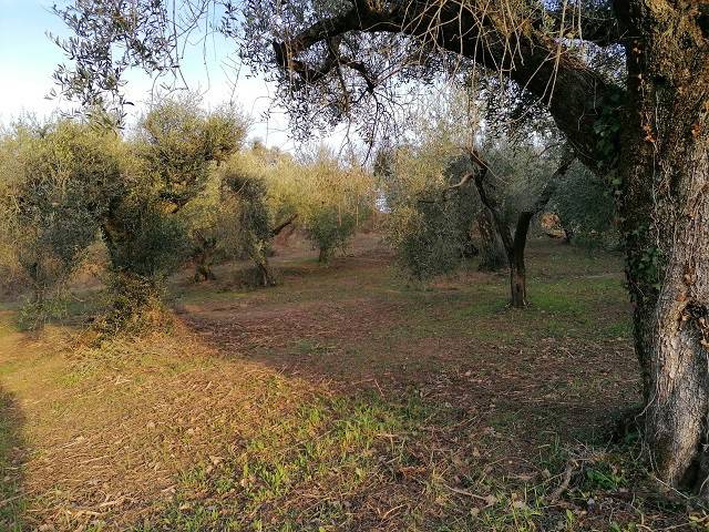 Terreno a Fara in sabina in Via Colle della Noce - Foto 3