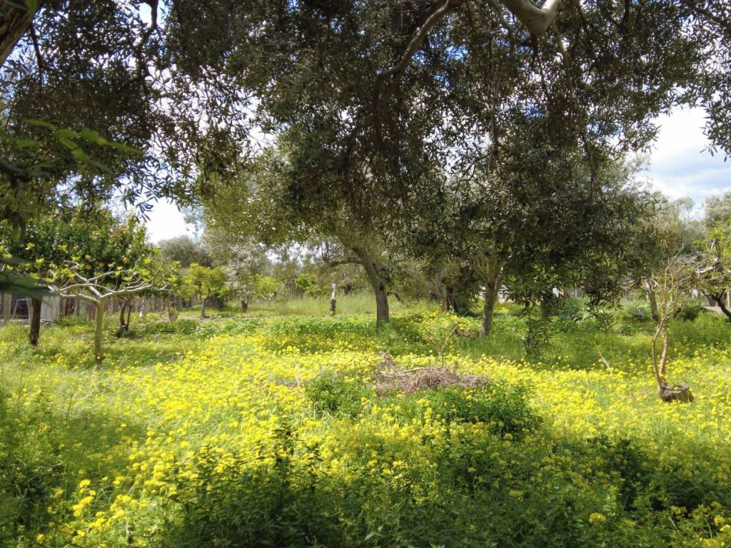Casa indipendente a Siderno in Via delle Americhe - Foto 5