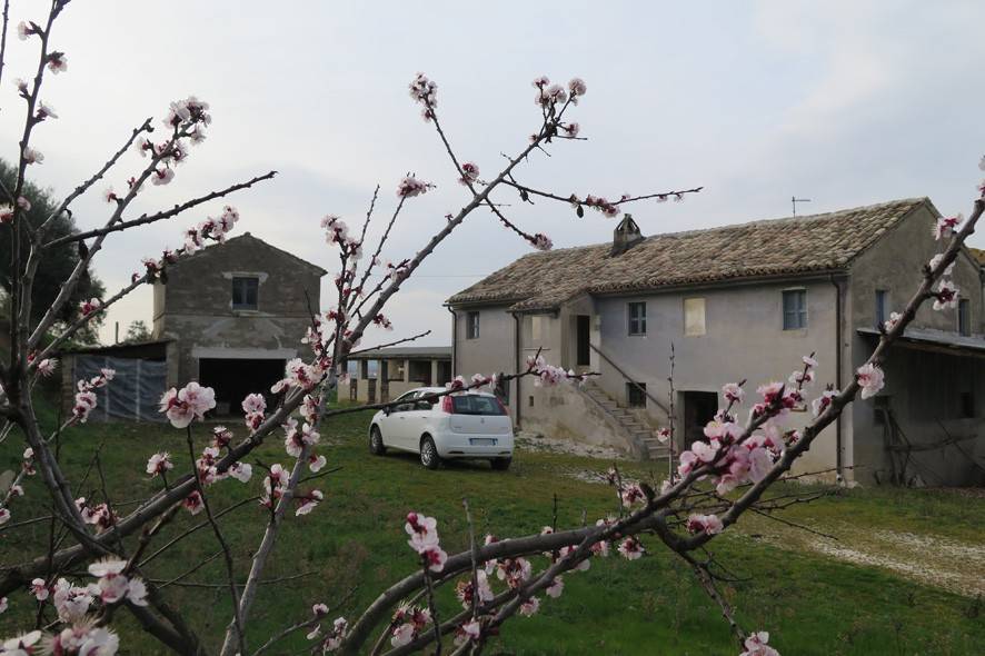 Rustico / casale a Montelupone - Foto 3