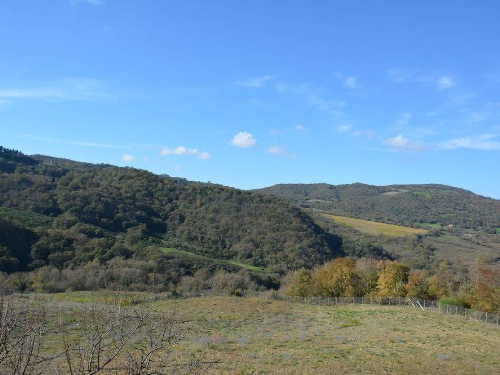 Rustico / casale a Scansano in Strada Provinciale Amiatina, 2 - Foto 2