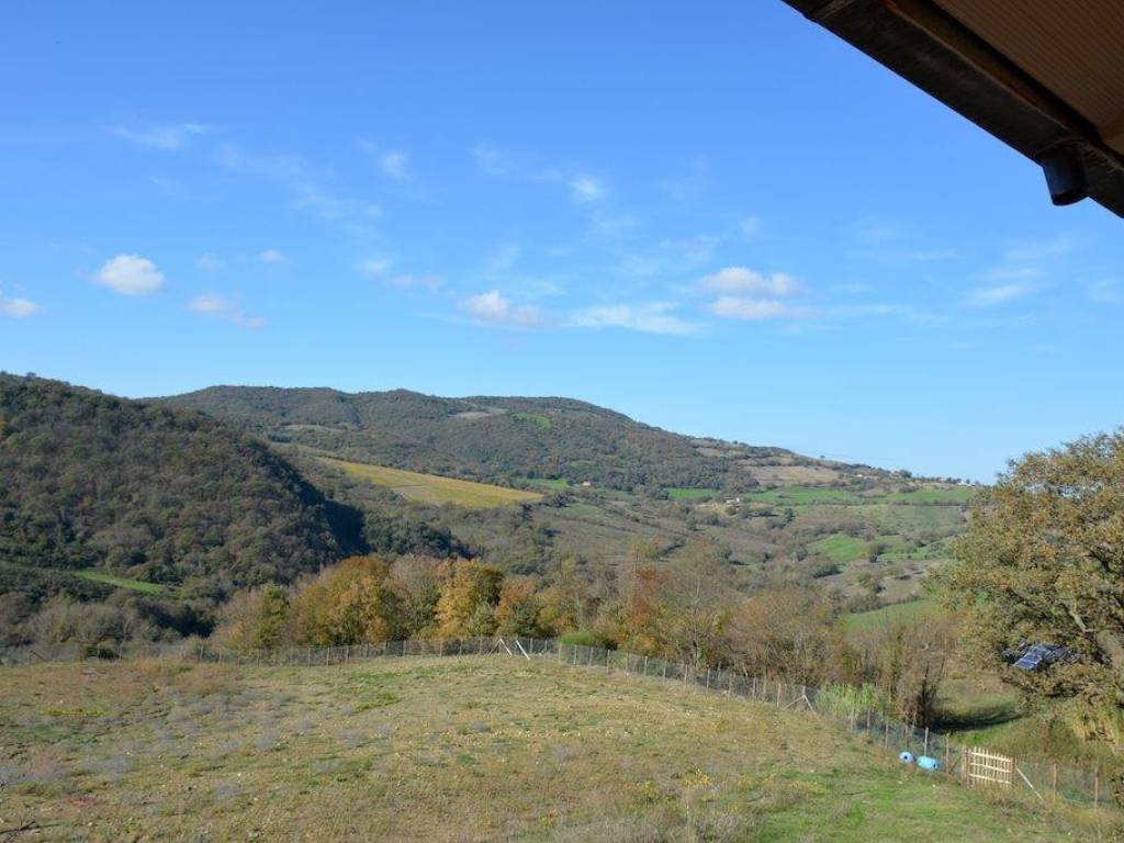 Rustico / casale a Scansano in Strada Provinciale Amiatina, 2 - Foto 3