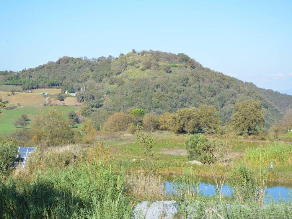 Rustico / casale a Scansano in Strada Provinciale Amiatina, 2 - Foto 5