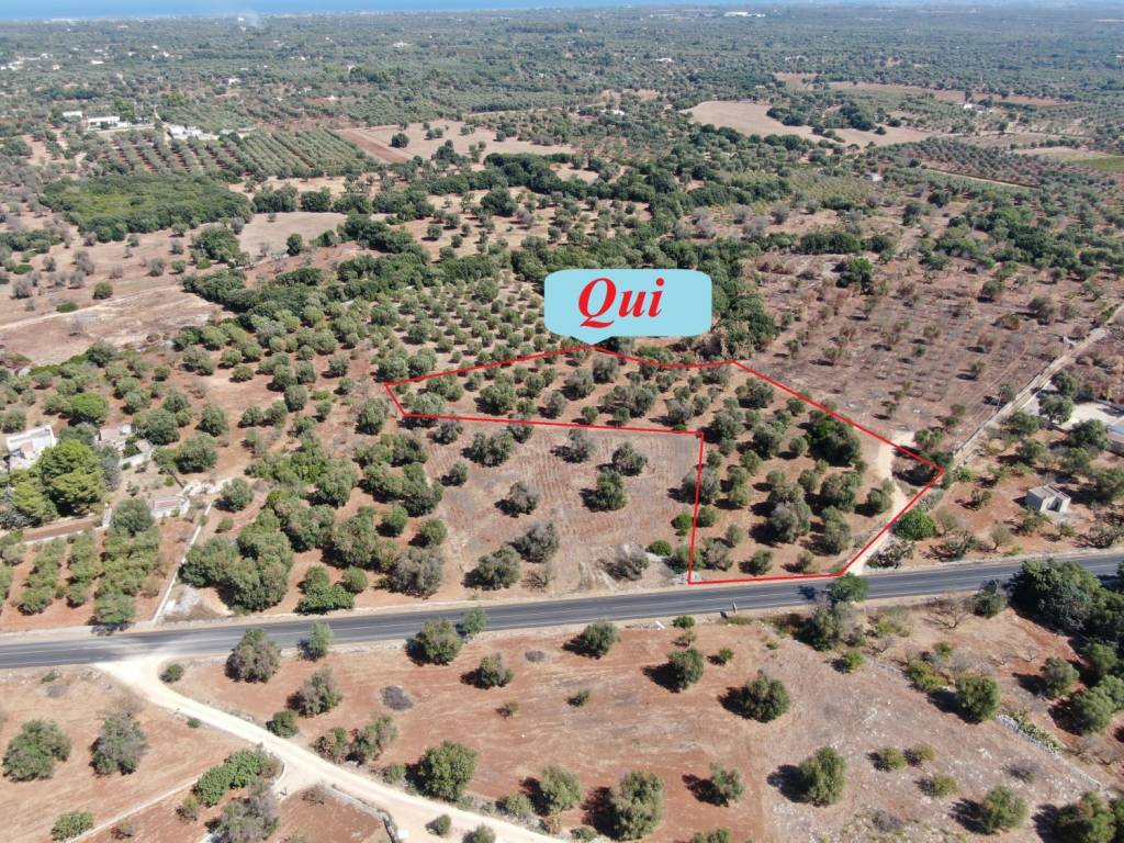 Terreno a Carovigno in SS16 - Foto 2