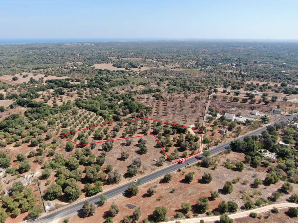 Terreno a Carovigno in SS16 - Foto 4