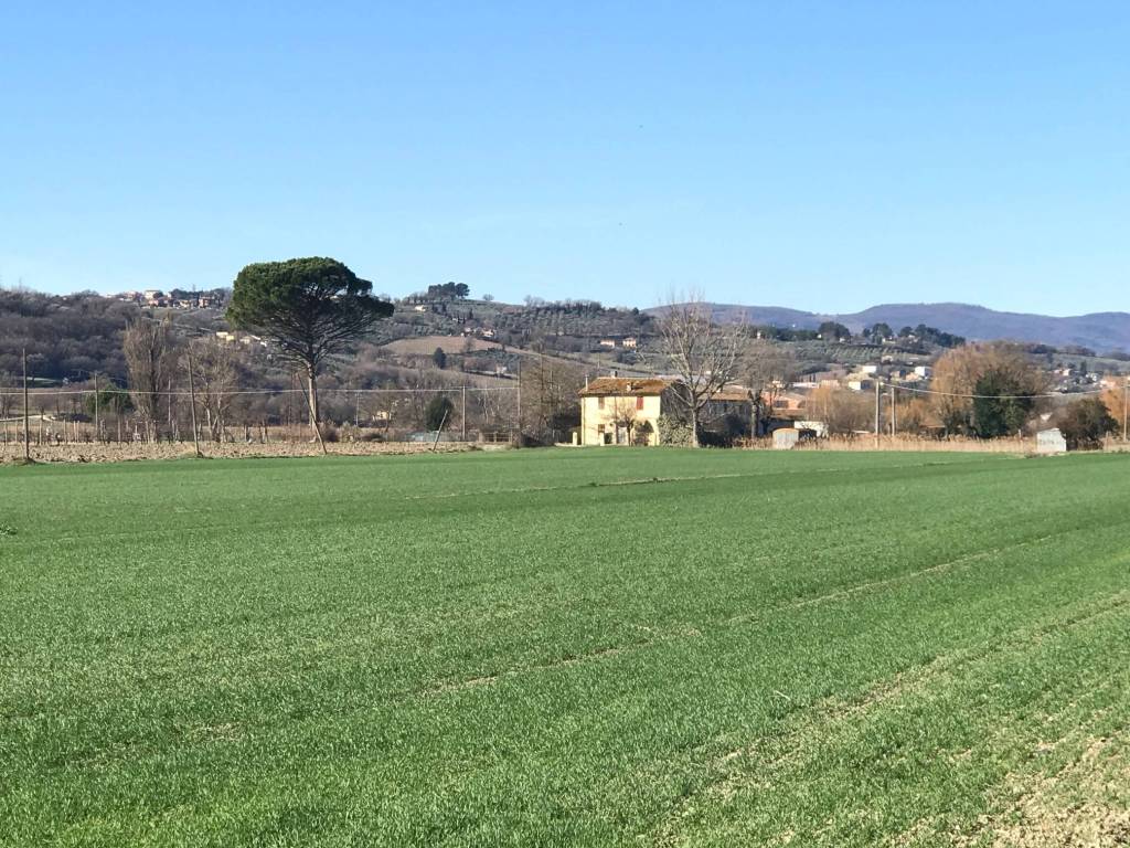 Rustico / casale a Montefalco in Vocabolo Capannone - Foto 5