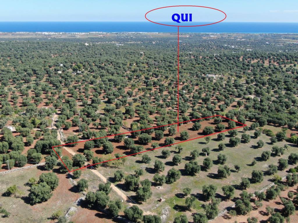 Terreno a Carovigno in SP33 - Foto 2