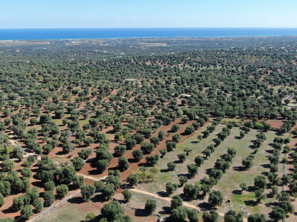 Terreno a Carovigno in SP33 - Foto 3
