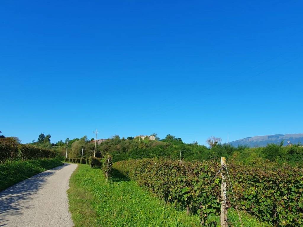 Rustico / casale a Conegliano in Via Isonzo, 39 - Foto 2