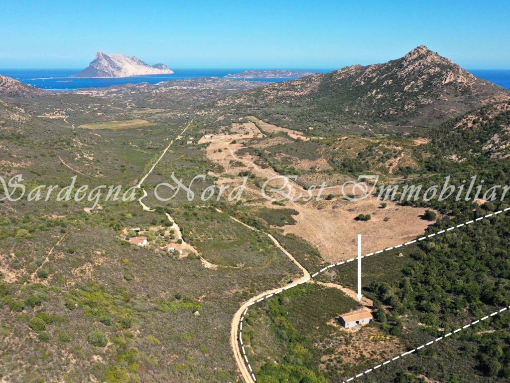 Rustico / casale a Loiri porto san paolo in SP87 - Foto 4