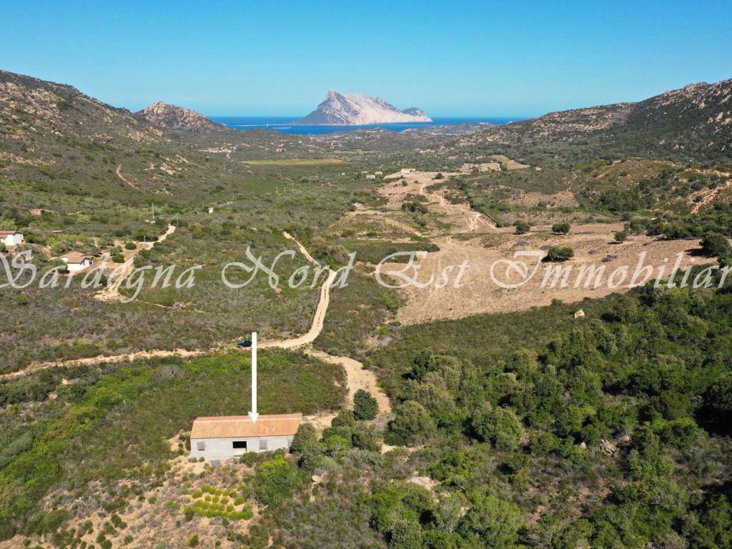 Rustico / casale a Loiri porto san paolo in SP87 - Foto 5