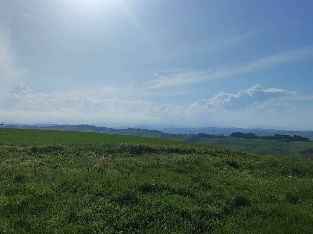 Terreno a Trecastelli - Foto 3