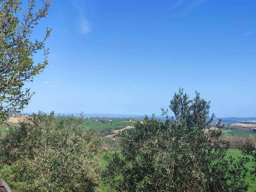 Terreno a Trecastelli - Foto 4