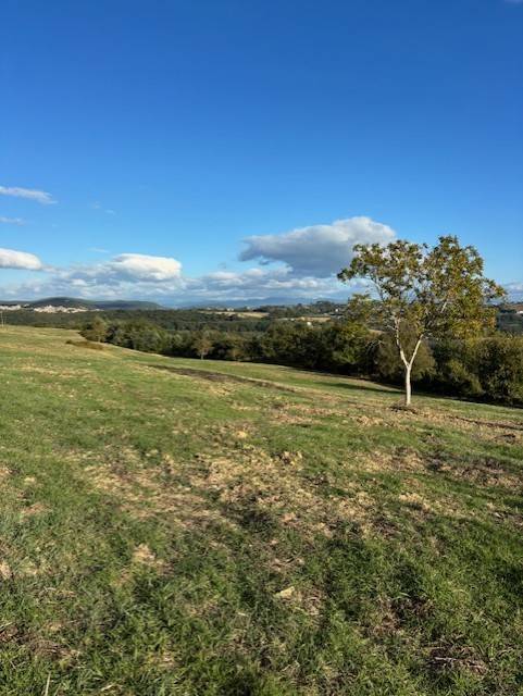 Terreno a Amelia - Foto 4