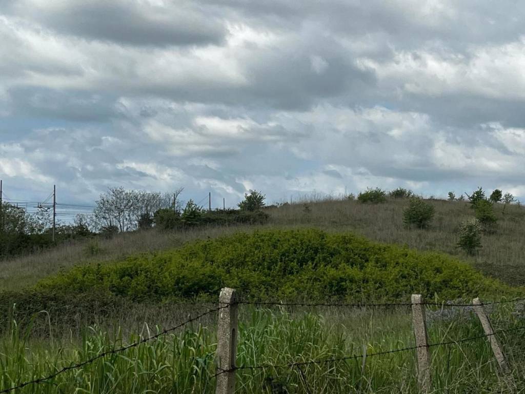 Terreno a Aprilia in VIA TENUTA DI CAMPOLEONE, 100 - Foto 2
