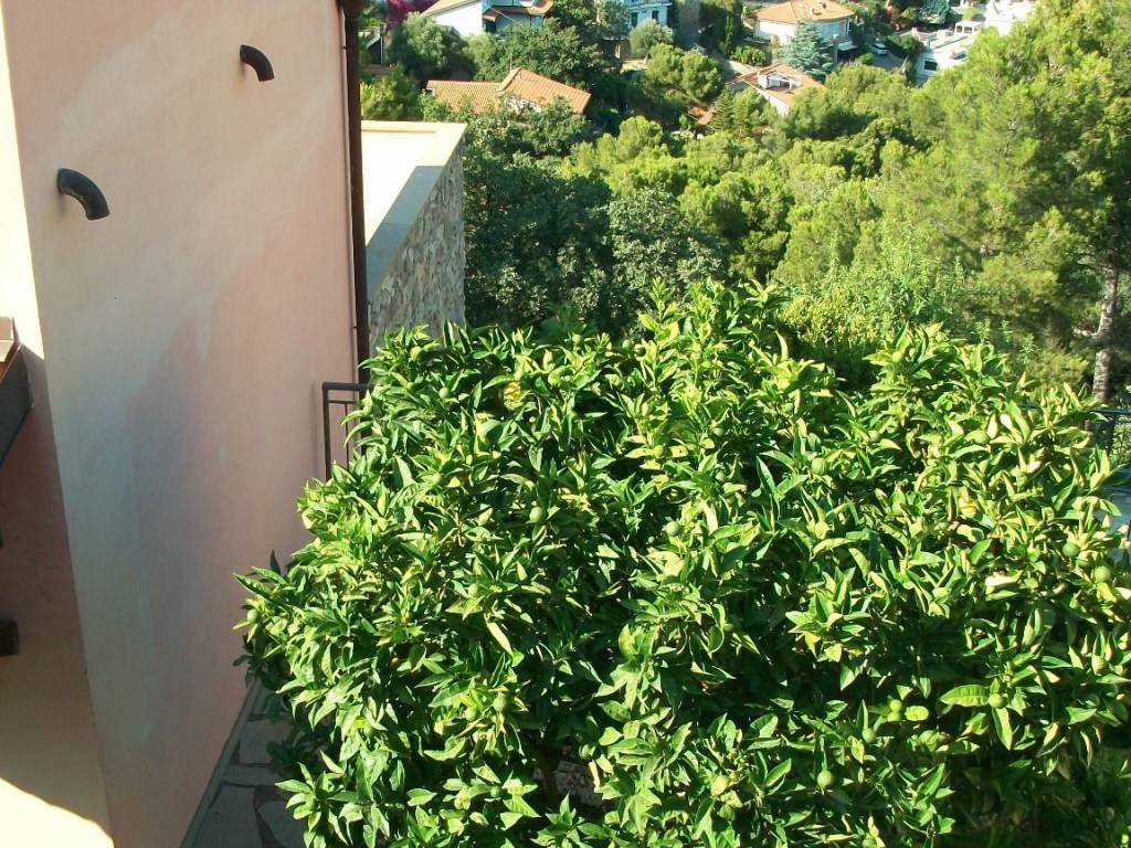 Villa a Andora in Località Rollo, 3 - Foto 5