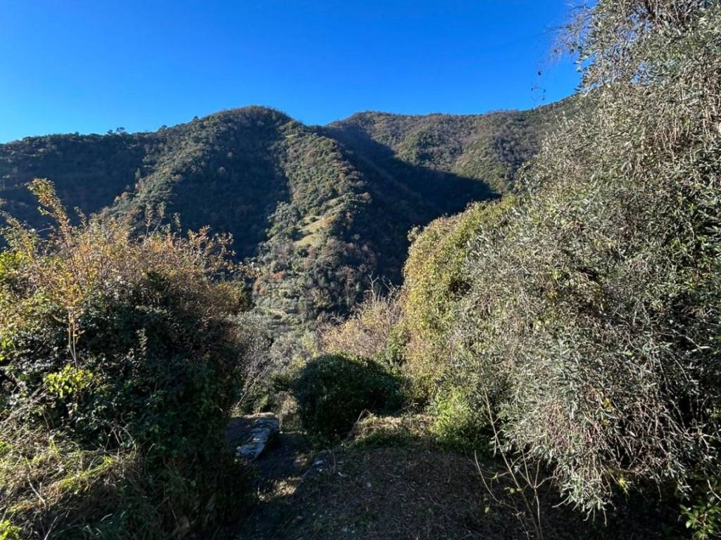 Rustico / casale a Avegno in Via dei Torchi - Foto 3
