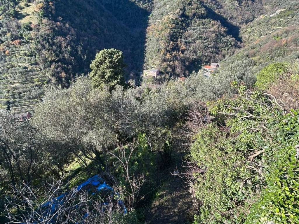 Rustico / casale a Avegno in Via dei Torchi - Foto 4