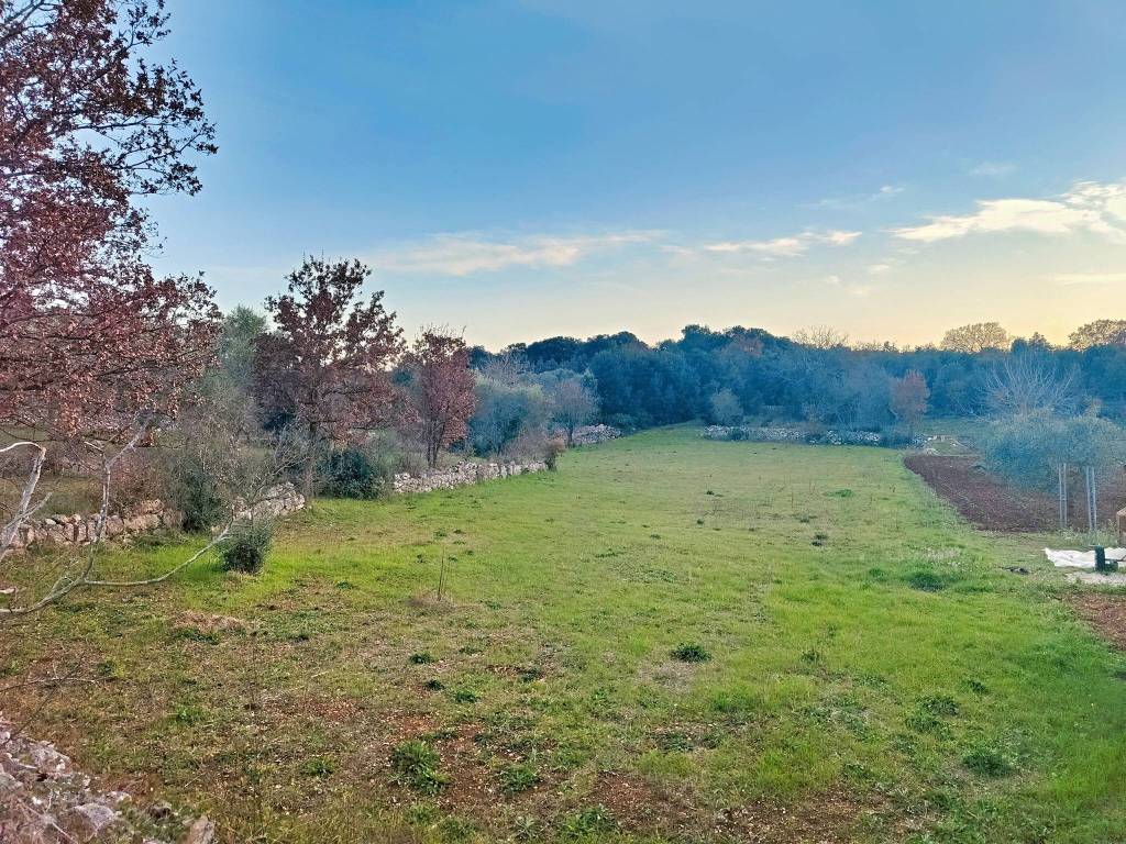 Terreno a Putignano in Strada Comunale Chiancarosa - Foto 2