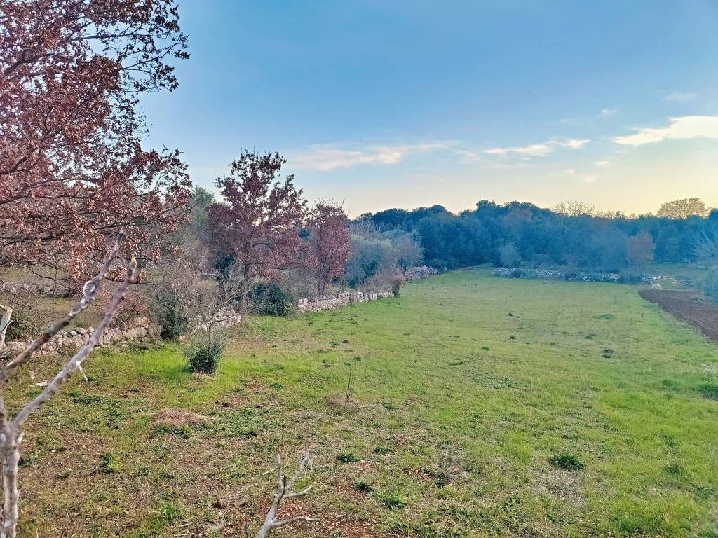 Terreno a Putignano in Strada Comunale Chiancarosa - Foto 3