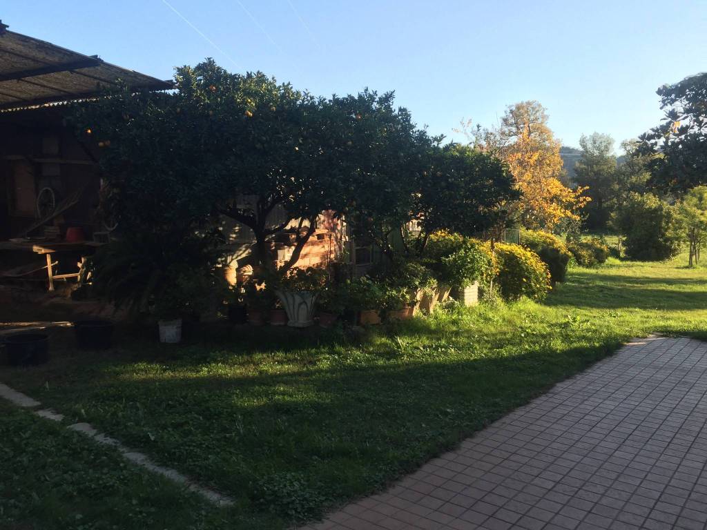 Villa a Taggia - Foto 3