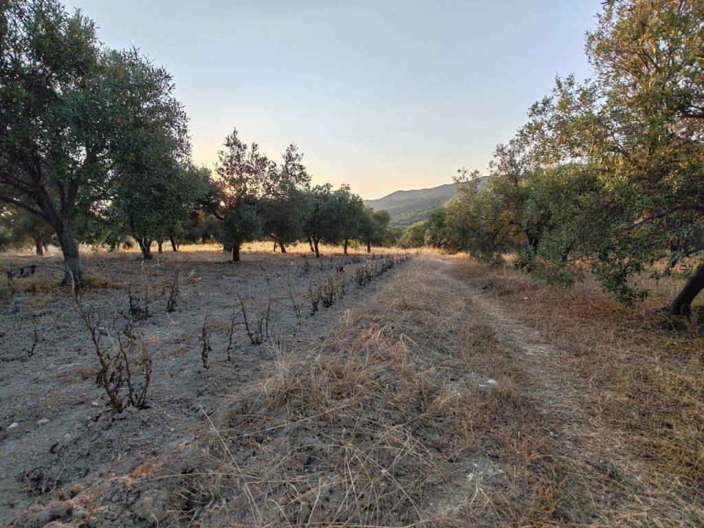 Terreno a Sinnai in Località San Barzolu - Foto 2