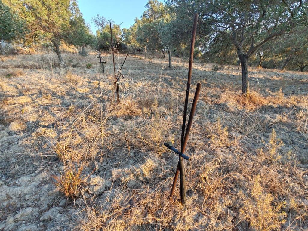 Terreno a Sinnai in Località San Barzolu - Foto 5