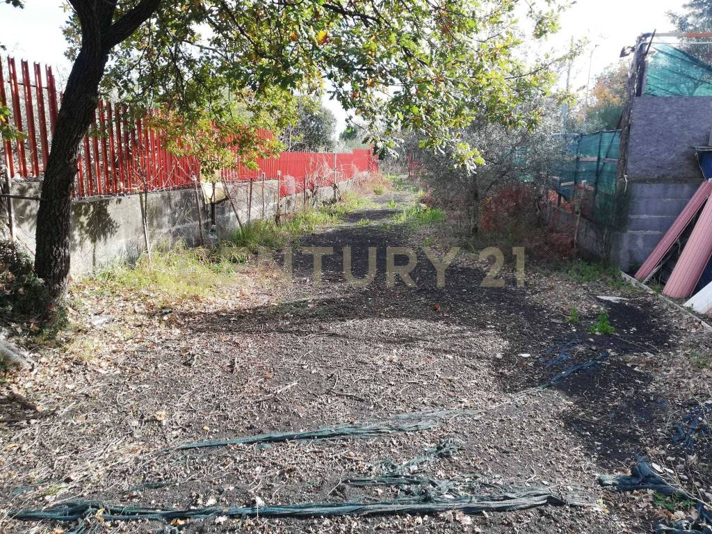 Terreno a Nicolosi in Contrada Regala Regaridda - Foto 3