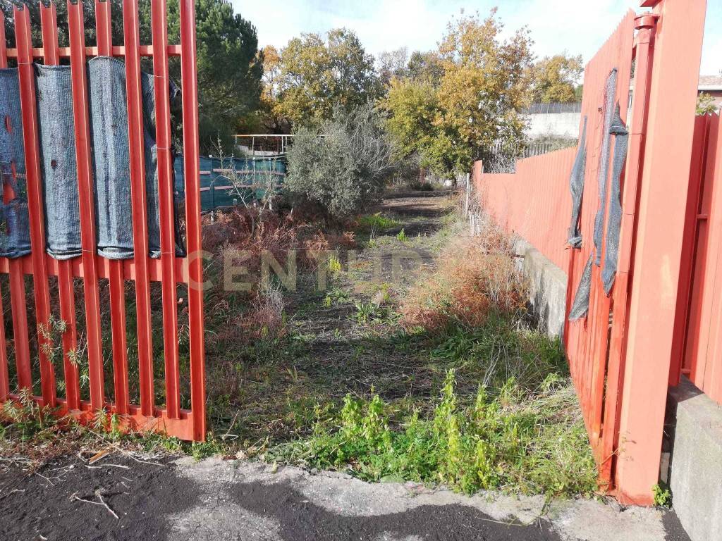 Terreno a Nicolosi in Contrada Regala Regaridda - Foto 4