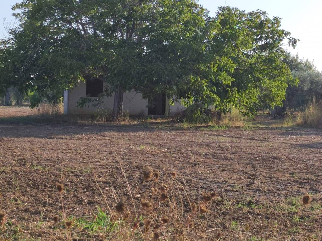 Rustico / casale a Cutrofiano in Strada Vicinale Vecchia del Capo o Caldari - Foto 3