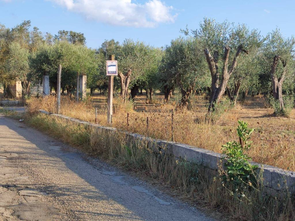 Rustico / casale a Cutrofiano in Strada Vicinale Vecchia del Capo o Caldari - Foto 5