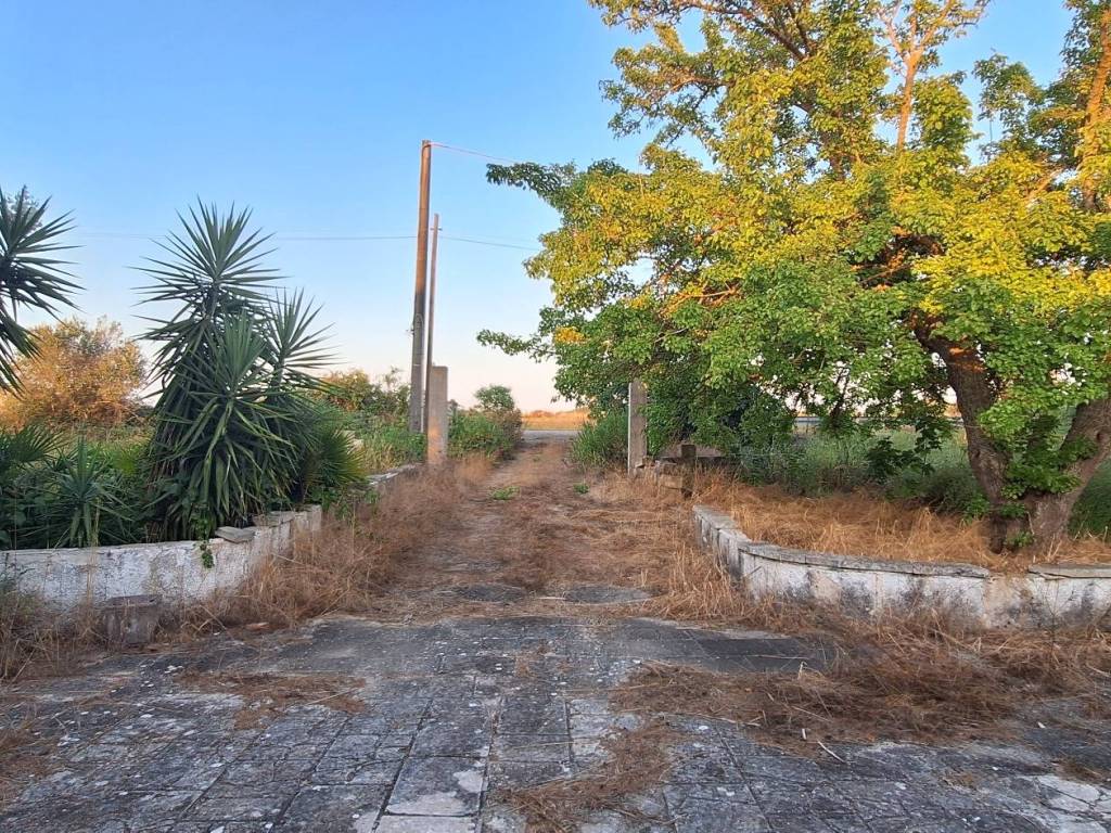 Rustico / casale a Cutrofiano in Strada Provinciale Galatina Cutrofiano Ruffano - Foto 4