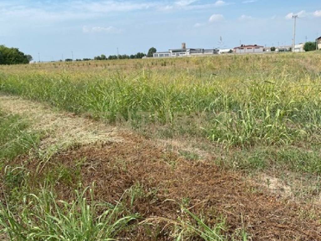 Terreno a Oppeano in Via le Cassere - Foto 5