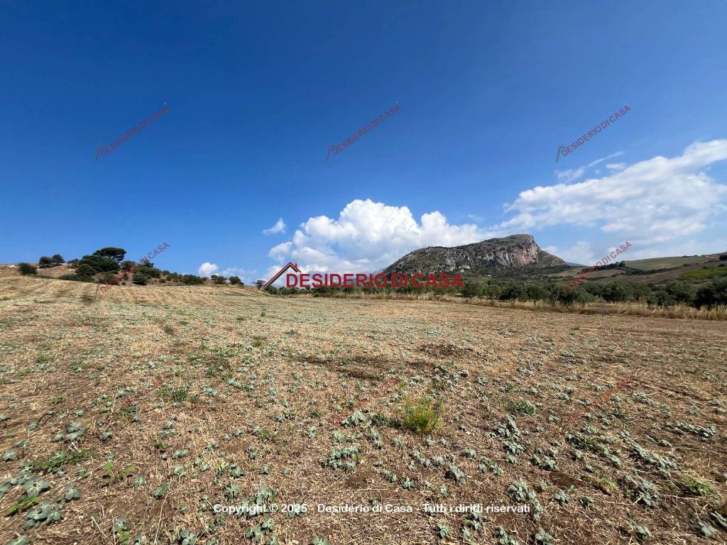 Terreno a Collesano in Strada Provinciale delle Madonie - Foto 3