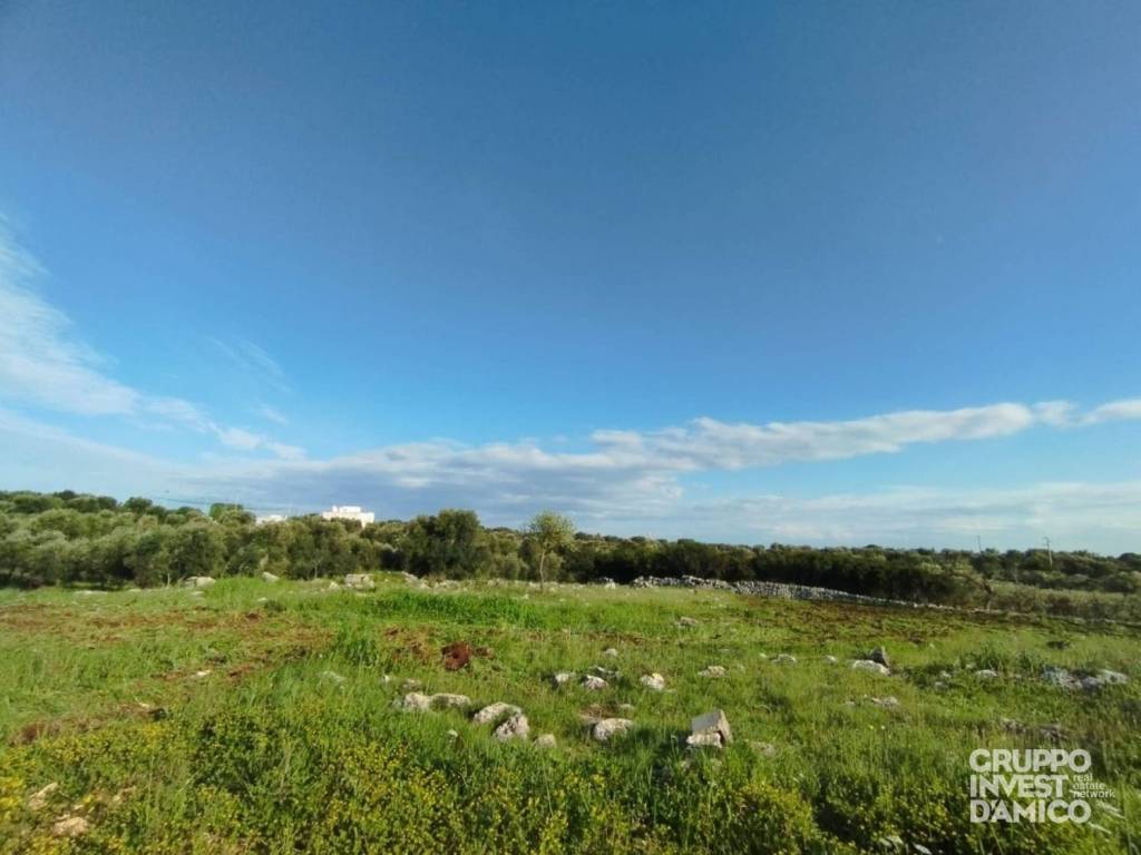 Terreno a Ceglie messapica in contrada montecchie - Foto 3