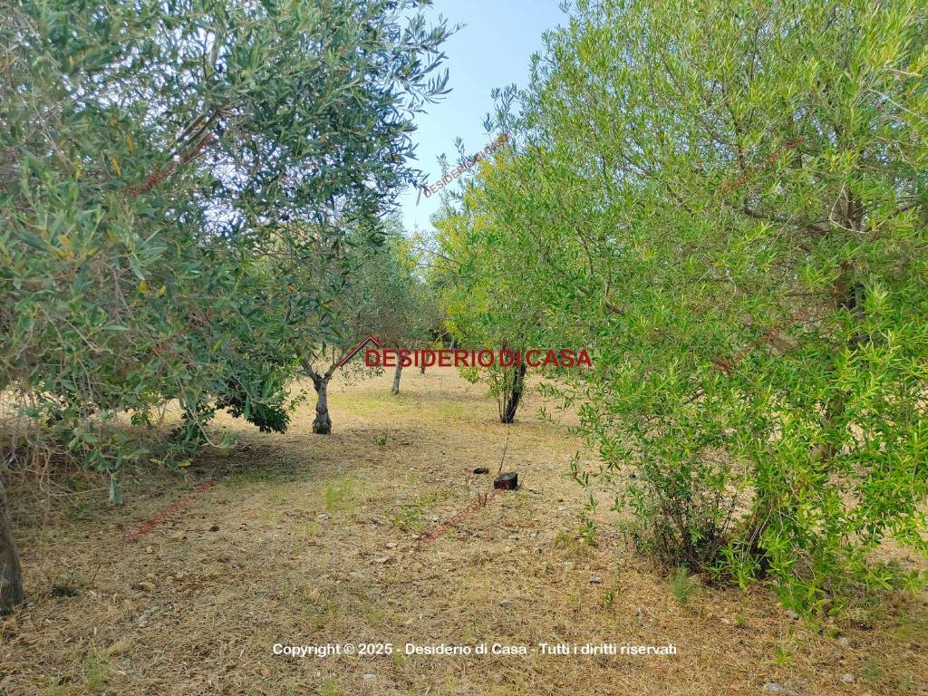 Terreno a Carini in Piazza Vittoria, 14 - Foto 3