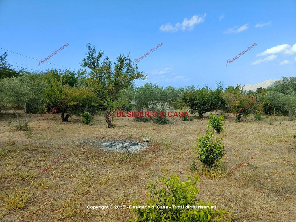 Terreno a Carini in Piazza Vittoria, 14 - Foto 4