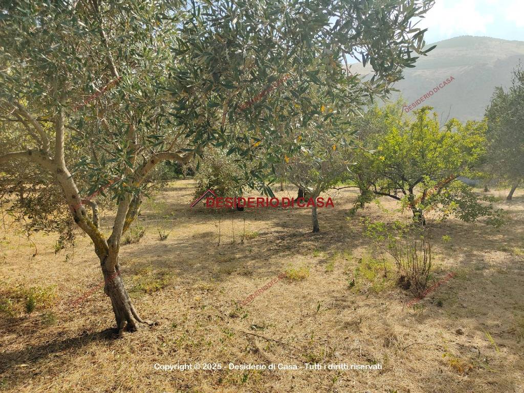 Terreno a Carini in Piazza Vittoria, 14 - Foto 5