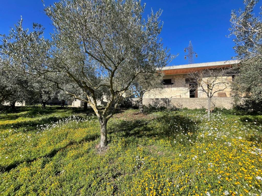 Rustico / casale a Modica in Via Loreto Gallinara - Foto 2