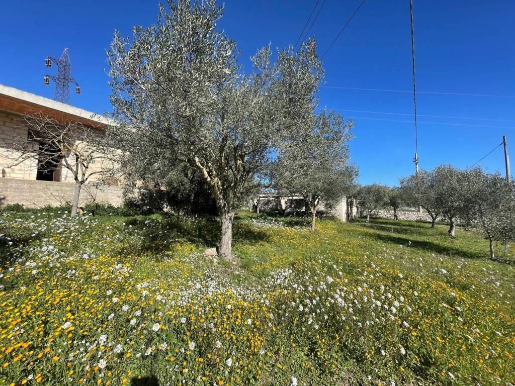 Rustico / casale a Modica in Via Loreto Gallinara - Foto 3