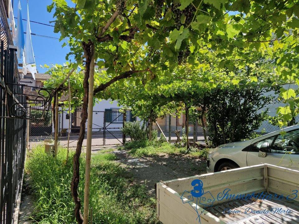 Casa indipendente a Villanova d'albenga - Foto 3