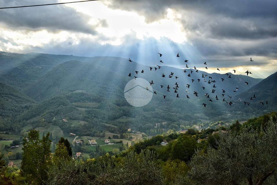 Terreno a Terni in Strada di Poggio Lavarino, 22 - Foto 2