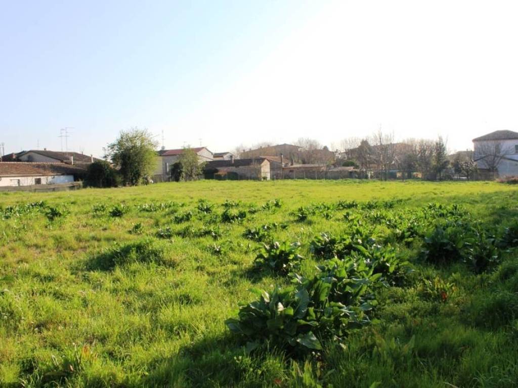 Terreno a Lugo in Via Fiumazzo - Foto 3