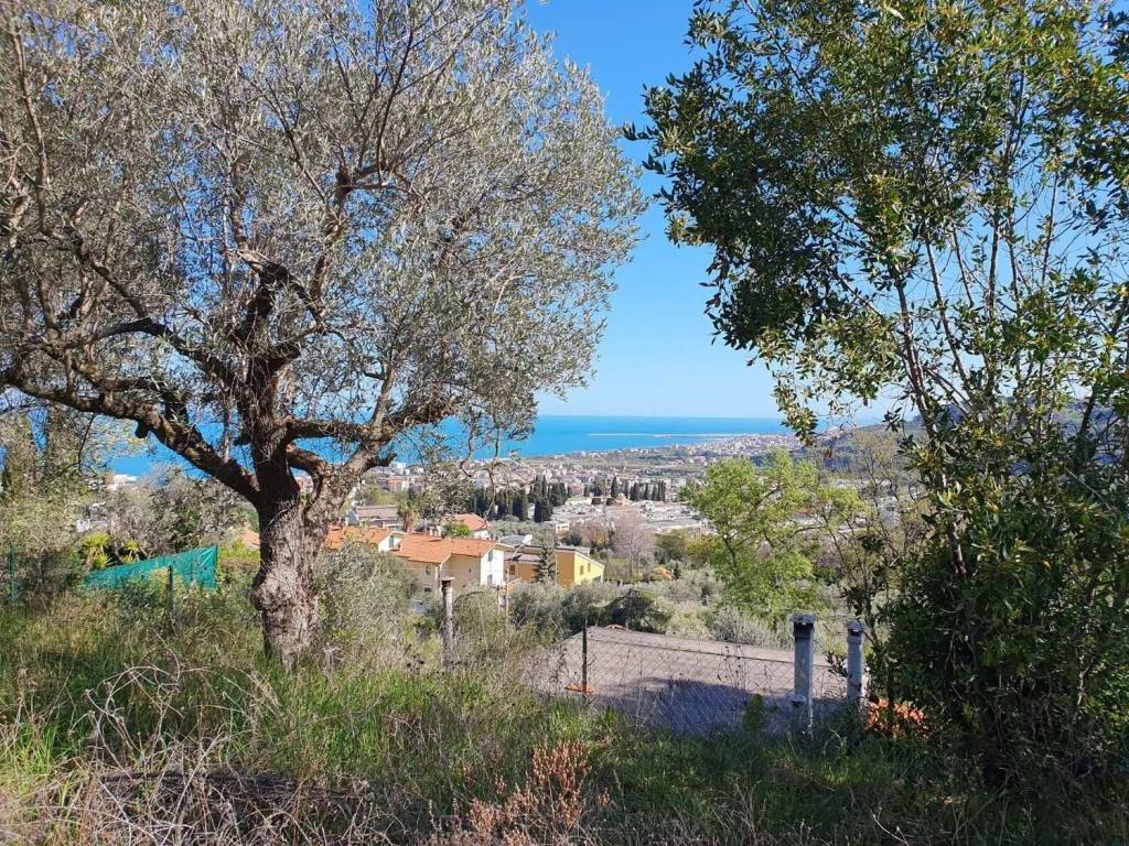 Terreno a Grottammare - Foto 4
